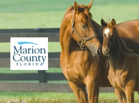 Marion County In: Marion County Needs to Act on Tuesday Aug 16, Ocala | Our Santa Fe River, Inc. (OSFR) | Protecting the Santa Fe River