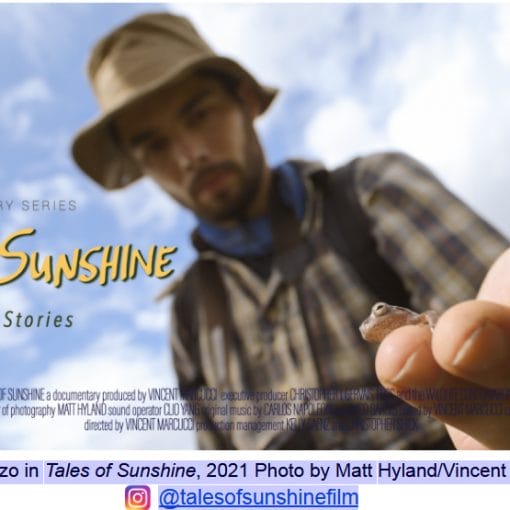 Maruccifilm In: Press Release: Tales of Sunshine: Florida Ecostories | Our Santa Fe River, Inc. (OSFR) | Protecting the Santa Fe River