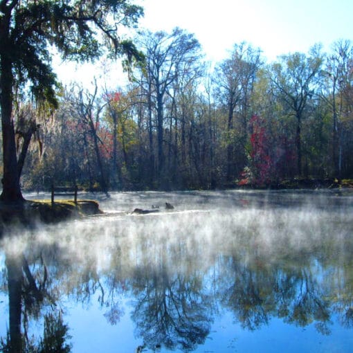 Morning Mist on Santa Fe River