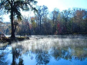 RumIslandLuMerritt e1746360459248 In: Rum Island Spring | Our Santa Fe River, Inc. (OSFR) | Protecting the Santa Fe River Morning Mist on Santa Fe River