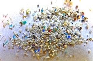 microplastricscreativecommonsFI In: Microplastics Can Kill Human Cells at Concentrations Found in the Environment, Scientists Say | Our Santa Fe River, Inc. (OSFR) | Protecting the Santa Fe River