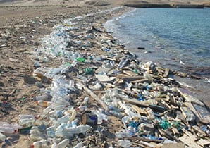 plasticpubdomainFI In: 7 Ways You Can Counter The Scourge Of Single-Use Plastics | Our Santa Fe River, Inc. (OSFR) | Protecting the Santa Fe River