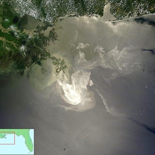 oilspillgulfpubdom In: Court Finds Massive Offshore Oil Lease Sale in Gulf Based on Faulty Legal Analysis | Our Santa Fe River, Inc. (OSFR) | Protecting the Santa Fe River