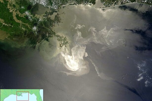 oilspillgulfpubdom In: Court Finds Massive Offshore Oil Lease Sale in Gulf Based on Faulty Legal Analysis | Our Santa Fe River, Inc. (OSFR) | Protecting the Santa Fe River