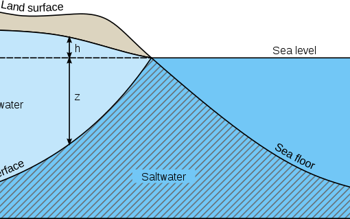 saltwater intrusioncreativecomwiki In: Saltwater Encroachment Is Here | Our Santa Fe River, Inc. (OSFR) | Protecting the Santa Fe River