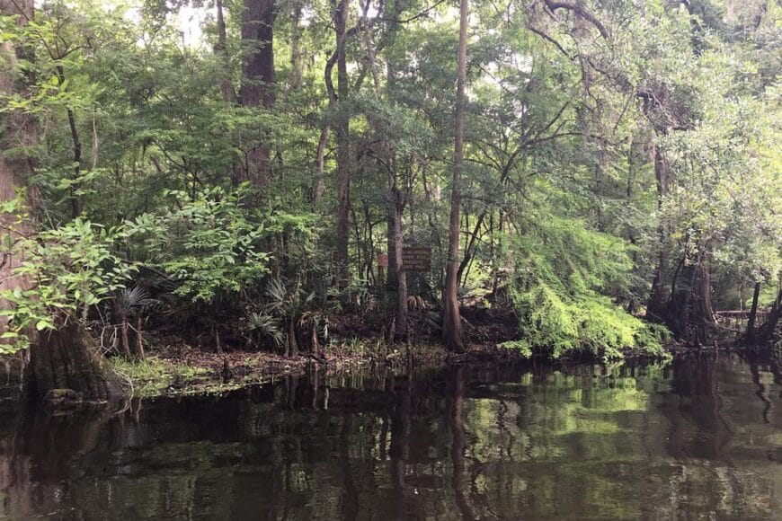 River Rise Preserve State Parkcreativecommons In: State to Acquire Land Parcel Near River Rise | Our Santa Fe River, Inc. (OSFR) | Protecting the Santa Fe River