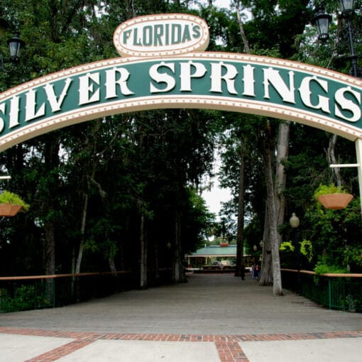 Silverspringspubdom In: The Great Florida Riverway: Three Rivers, 50 Springs and One Solution | Our Santa Fe River, Inc. (OSFR) | Protecting the Santa Fe River