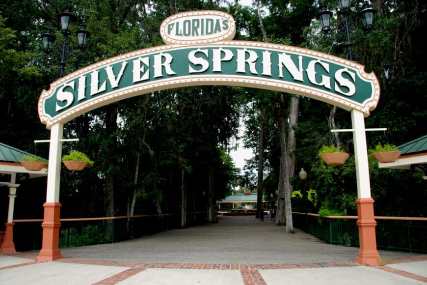 Silverspringspubdom In: The Great Florida Riverway: Three Rivers, 50 Springs and One Solution | Our Santa Fe River, Inc. (OSFR) | Protecting the Santa Fe River