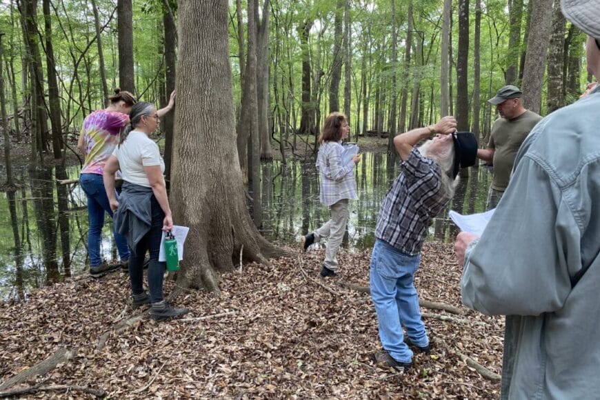 planthike22b In: Ever-popular RiverFest Plant Hike with Dr. Jacono Still a Hit | Our Santa Fe River, Inc. (OSFR) | Protecting the Santa Fe River