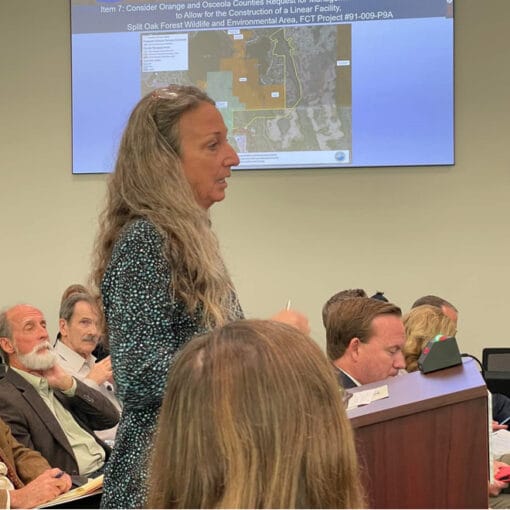 mmjsplitoak8 In: Latest on Split Oak Travesty | Our Santa Fe River, Inc. (OSFR) | Protecting the Santa Fe River