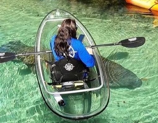 FSCkayak1 In: Special Kayak to Be Given Away | Our Santa Fe River, Inc. (OSFR) | Protecting the Santa Fe River