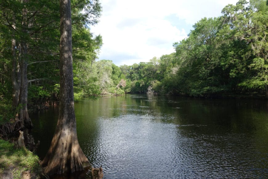 Santa Fe Riverme 1 In: Why we need the Florida Right to Clean and Healthy Waters Amendment | Our Santa Fe River, Inc. (OSFR) | Protecting the Santa Fe River
