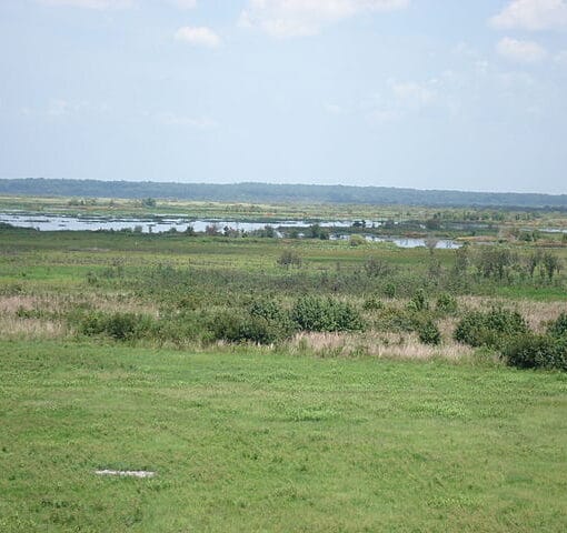 Paynes Prairie State Preserve 2.jpgwikimedia commons In: State Agencies Use Deception | Our Santa Fe River, Inc. (OSFR) | Protecting the Santa Fe River