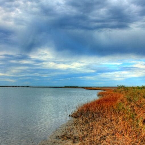 gulf of mexicopubdomain In: Still One More Way to Pollute Our Waters For Profit | Our Santa Fe River, Inc. (OSFR) | Protecting the Santa Fe River