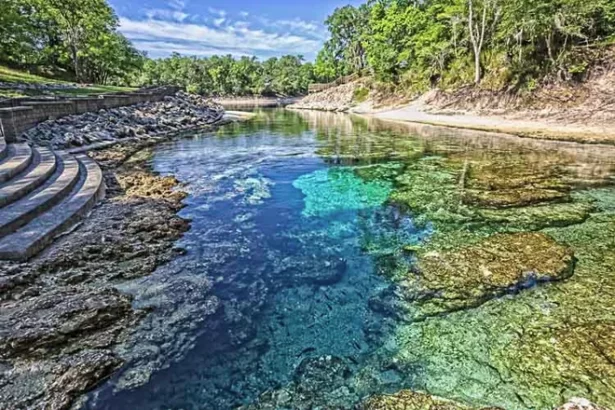 littleriver springs moritz In: Unconstitutional Laws Are Hampering Our Fight for Clean and Healthy Waters | Our Santa Fe River, Inc. (OSFR) | Protecting the Santa Fe River