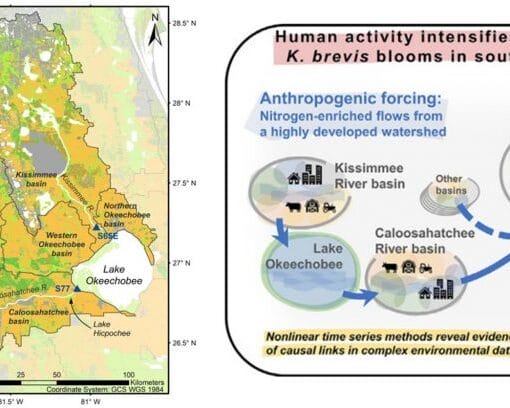 Ufcenterforcoastalstudy In: UF study: Human activity provides for longer, stronger red tides | Our Santa Fe River, Inc. (OSFR) | Protecting the Santa Fe River