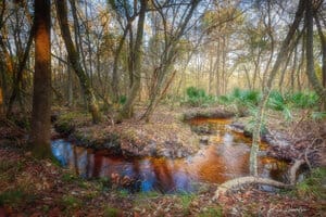 ACT santafepreserve In: Creekside Environmental Ed for Kids (CrEEK) | Our Santa Fe River, Inc. (OSFR) | Protecting the Santa Fe River