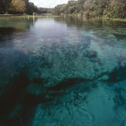 ALEXANDER SPRING PUBDOMAIN In: FWC Springs Protection Zone Meeting, Tues. August 2, Hernando Beach | Our Santa Fe River, Inc. (OSFR) | Protecting the Santa Fe River