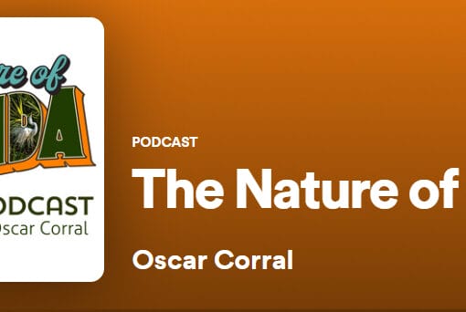 corral podcastknight In: Bob Knight Speaks On the Springs | Our Santa Fe River, Inc. (OSFR) | Protecting the Santa Fe River