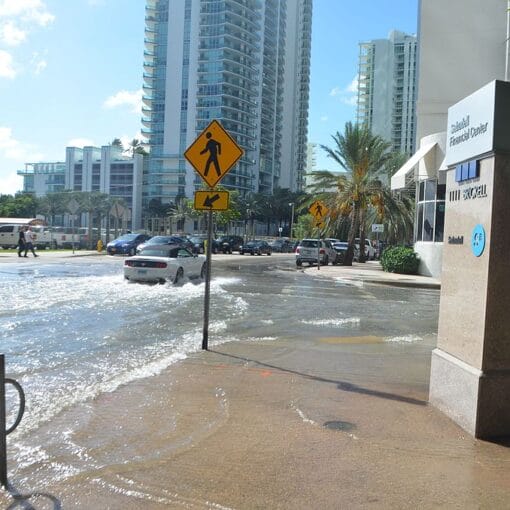 Kingtidescreativecommons 2 In: Rising Sea Levels to Flood Nearly 650,000 Oceanfront Properties Across Us by 2050, Study Finds | Our Santa Fe River, Inc. (OSFR) | Protecting the Santa Fe River