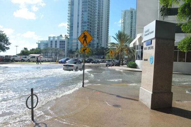 Kingtidescreativecommons 2 In: Rising Sea Levels to Flood Nearly 650,000 Oceanfront Properties Across Us by 2050, Study Finds | Our Santa Fe River, Inc. (OSFR) | Protecting the Santa Fe River
