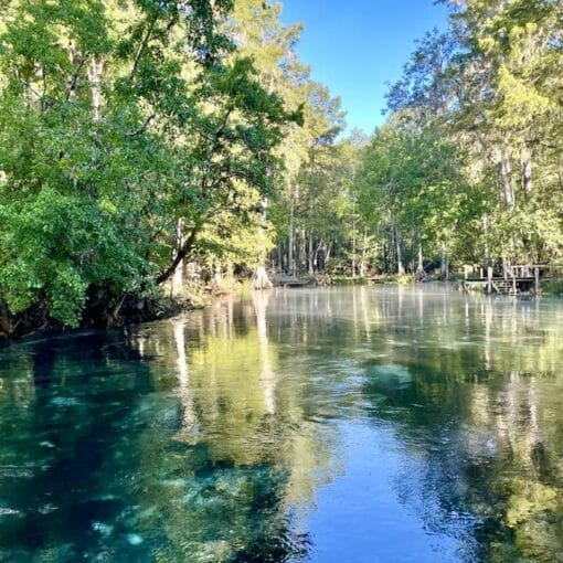 Lower Ichetucknee John Jopling In: Help Protect the Ichetucknee River | Our Santa Fe River, Inc. (OSFR) | Protecting the Santa Fe River