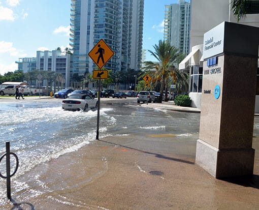 Miamifloodingcreativecommons wikimedia In: Florida Among Most Vulnerable to New Flooding | Our Santa Fe River, Inc. (OSFR) | Protecting the Santa Fe River