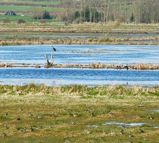 landconservation creative commons In: Five More Florida Counties Pass Land Conservation Referenda | Our Santa Fe River, Inc. (OSFR) | Protecting the Santa Fe River