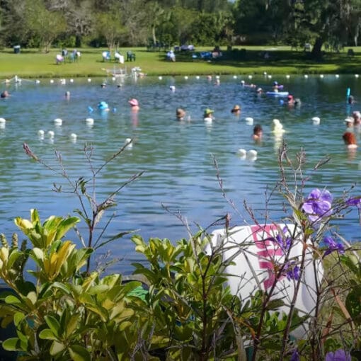 Warmmineralsprings VisitFlorida In: At Florida Hot Spring, Developers Get a Warm Reception | Our Santa Fe River, Inc. (OSFR) | Protecting the Santa Fe River
