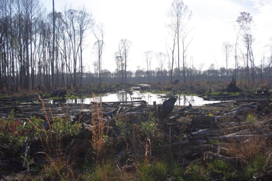 mine picsmmjwetlands In: Developers Never Rest Nor Are They Ever Satisfied | Our Santa Fe River, Inc. (OSFR) | Protecting the Santa Fe River
