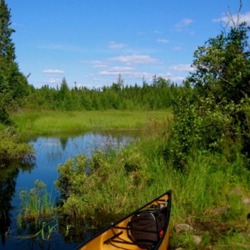 minnesota boundry wilderness us forest service In: Us Moves to Protect Minnesota Wilderness From Planned Mine | Our Santa Fe River, Inc. (OSFR) | Protecting the Santa Fe River