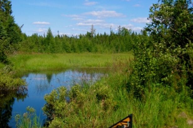 minnesota boundry wilderness us forest service In: Us Moves to Protect Minnesota Wilderness From Planned Mine | Our Santa Fe River, Inc. (OSFR) | Protecting the Santa Fe River