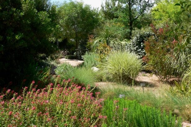 native landscape plants