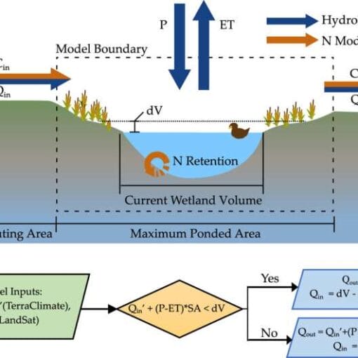 Wetlandsarticlegraph In: The Importance of Wetlands | Our Santa Fe River, Inc. (OSFR) | Protecting the Santa Fe River
