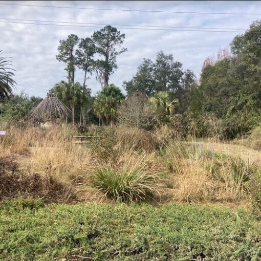 landscapingufgarden1 In: Landscaping and BMAPS; what we can do | Our Santa Fe River, Inc. (OSFR) | Protecting the Santa Fe River