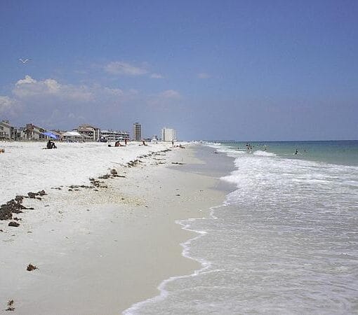 BeachFloridapubdomain In: Red Tide Is Becoming a Major Issue on Florida’s West Coast | Our Santa Fe River, Inc. (OSFR) | Protecting the Santa Fe River