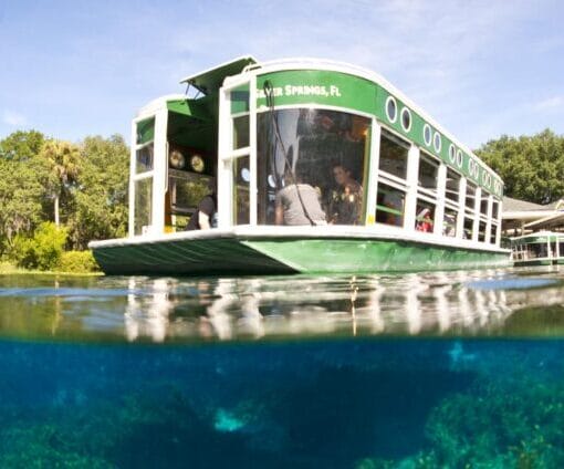 Silver Springs glass bottom boat via Florida State Parks 1024x424 1 In: DEP Exposed AS Dysfunctional | Our Santa Fe River, Inc. (OSFR) | Protecting the Santa Fe River