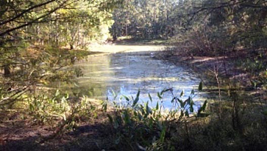 manasota 88 In: Health Risks of Phosphate Mining | Our Santa Fe River, Inc. (OSFR) | Protecting the Santa Fe River