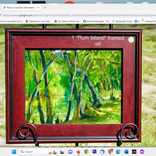 silentauction1 In: Check Out the RiverFest Silent Auction | Our Santa Fe River, Inc. (OSFR) | Protecting the Santa Fe River