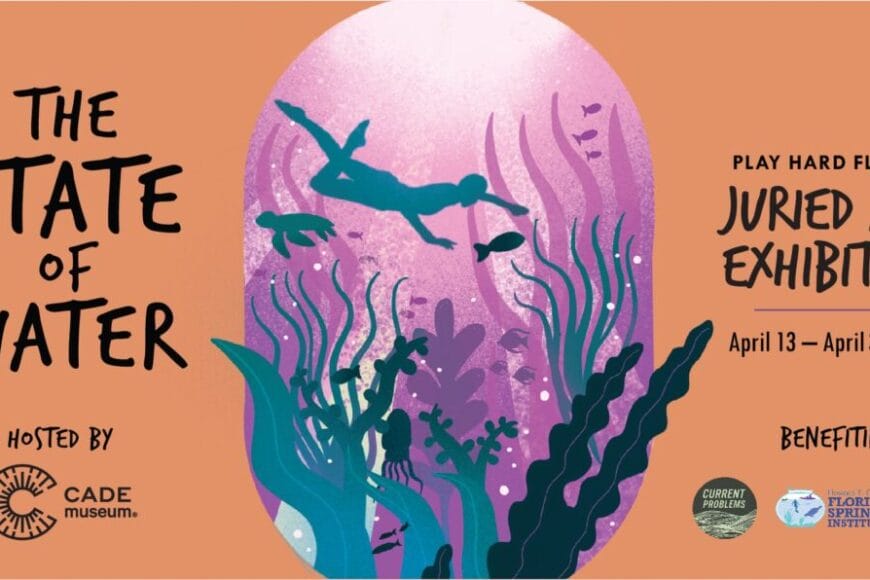 stateofwater In: Call for Art For the Water State Festival | Our Santa Fe River, Inc. (OSFR) | Protecting the Santa Fe River