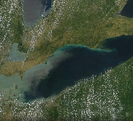 phosphorusgreat lakes NOAA In: Learn About Phosphorus Here | Our Santa Fe River, Inc. (OSFR) | Protecting the Santa Fe River