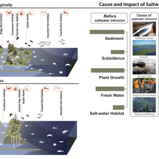 saltwaterintrusion cc In: Senate Saltwater Intrusion Study Bill Flows Out of Final Committee | Our Santa Fe River, Inc. (OSFR) | Protecting the Santa Fe River