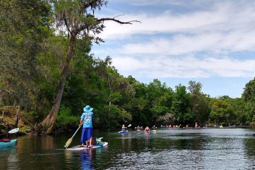 Santa Fe River Paddle Picture cropped In: Greenwashing Alive and Well Among Water Managing Districts. | Our Santa Fe River, Inc. (OSFR) | Protecting the Santa Fe River