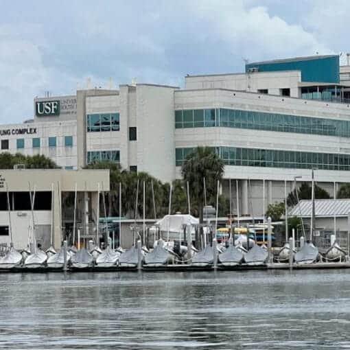 USF marinesciencecenter In: Something Good From DeSantis | Our Santa Fe River, Inc. (OSFR) | Protecting the Santa Fe River