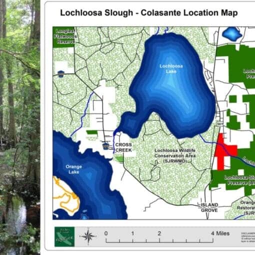 Alachualandpurchaselochloosa In: Critical Wetlands Saved From Development | Our Santa Fe River, Inc. (OSFR) | Protecting the Santa Fe River