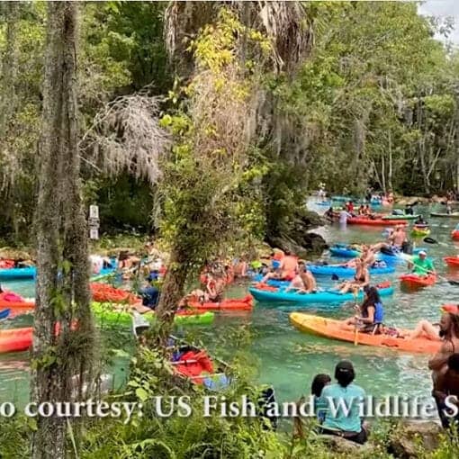 springsoveruseFWS In: Too Much Love | Our Santa Fe River, Inc. (OSFR) | Protecting the Santa Fe River