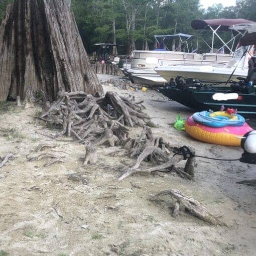 SPZarticlebeacherosion In: More Help For the Threatened Ichetucknee Spring | Our Santa Fe River, Inc. (OSFR) | Protecting the Santa Fe River