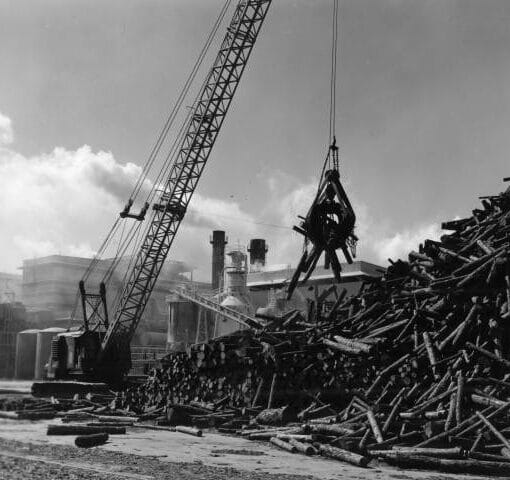 papermill In: Now We Have Green Algae | Our Santa Fe River, Inc. (OSFR) | Protecting the Santa Fe River