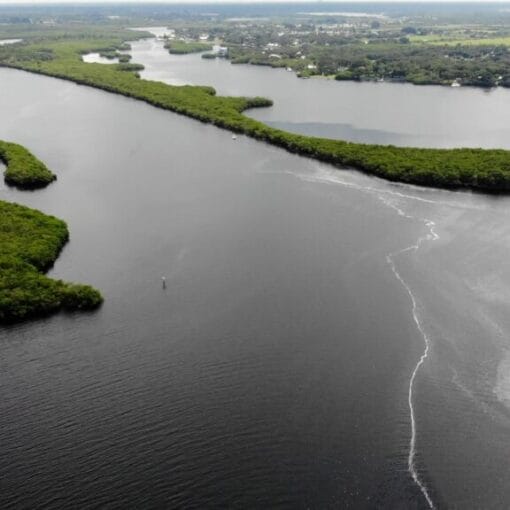 wetlands manateeCo. SWFWMD In: Beruff Again! | Our Santa Fe River, Inc. (OSFR) | Protecting the Santa Fe River
