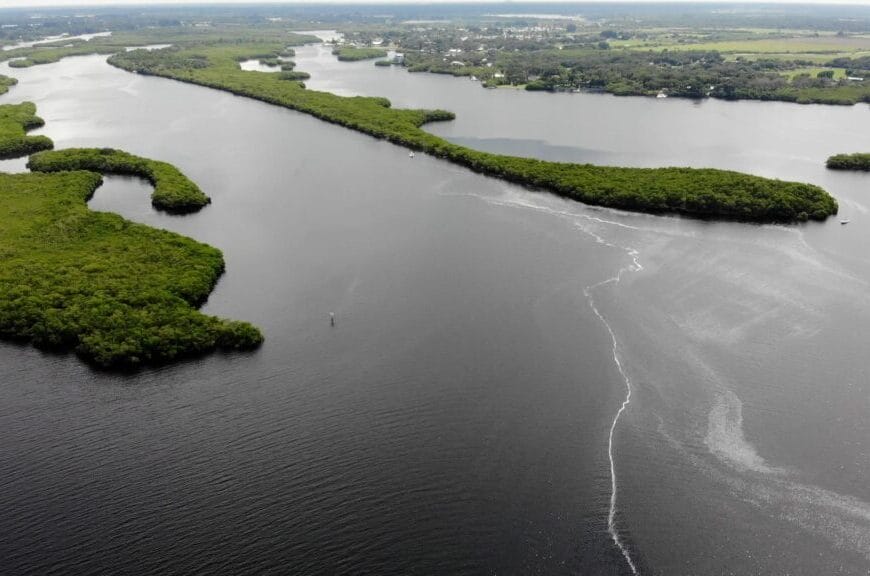 wetlands manateeCo. SWFWMD In: Beruff Again! | Our Santa Fe River, Inc. (OSFR) | Protecting the Santa Fe River